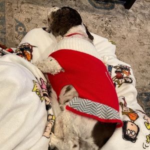 Meet your Posher, Gretchen